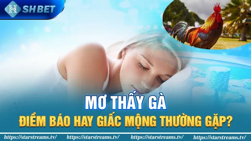 Mơ thấy gà là điềm gì cùng những may mắn bất ngờ 1 Ý nghĩa cho giấc mộng mơ thấy gà theo từng khía cạnh, niềm vui