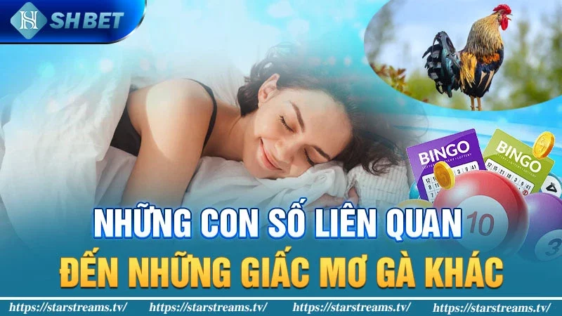 Mơ thấy gà là điềm gì cùng những may mắn bất ngờ 3 Mơ thấy gà có mối liên quan với con số gì