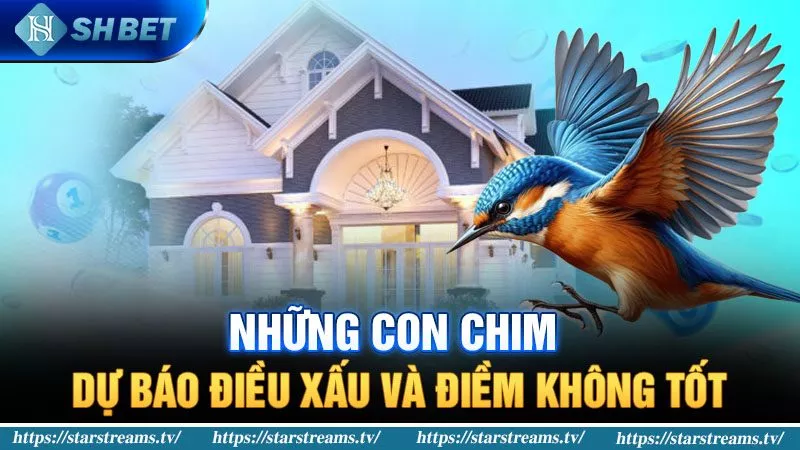 Giải Mã Giấc Mơ Chim Bay Vào Nhà Là Điềm Gì? 2 Những con chim dự báo điều xấu và điềm không tốt