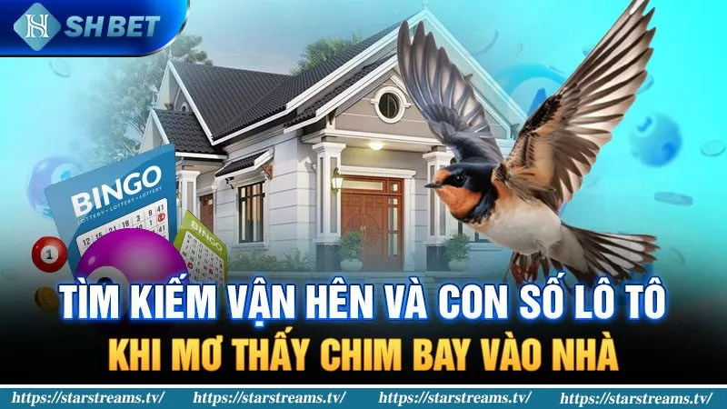 Giải Mã Giấc Mơ Chim Bay Vào Nhà Là Điềm Gì? 4 con số lô tô khi mơ thấy chim bay vào nhà