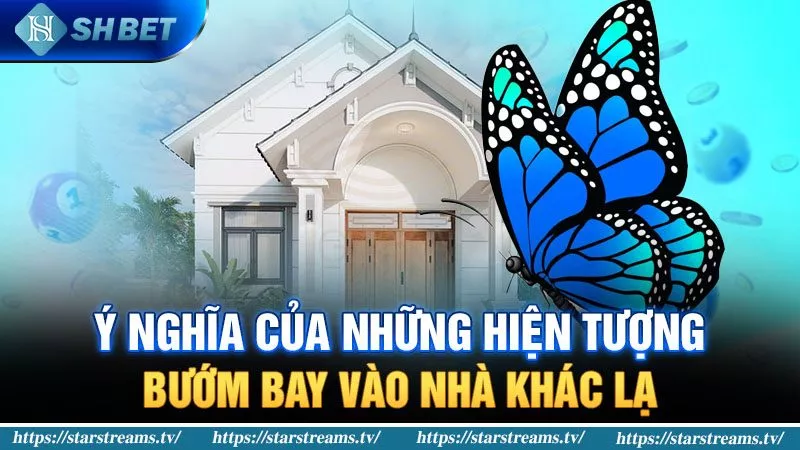 SHBET giải đáp bướm bay vào nhà có chứng tỏ điều gì? 2 Giải mã những hiện tượng bướm bay vào nhà khác lạ